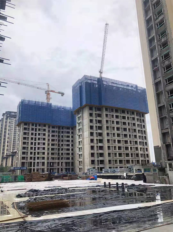 000000.jpg 000000.jpg