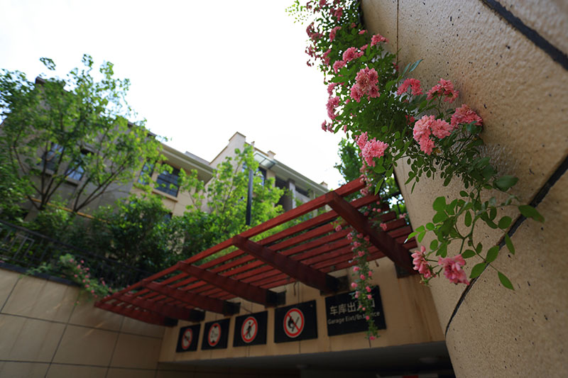 000000.jpg 000000.jpg