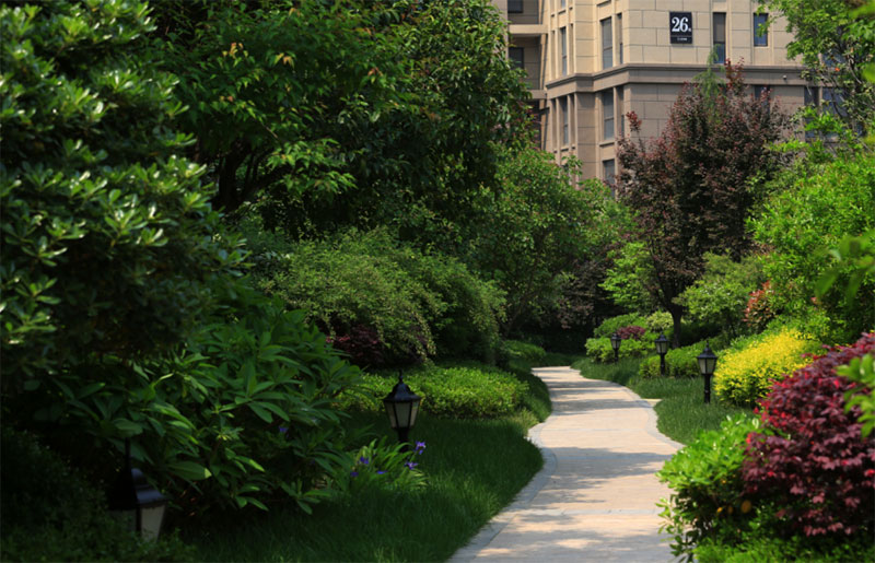 000000.jpg 000000.jpg