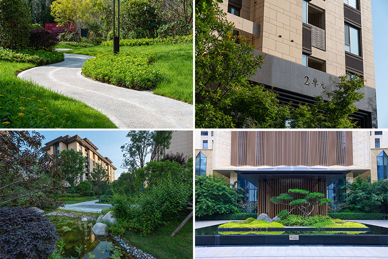 000000.jpg 000000.jpg