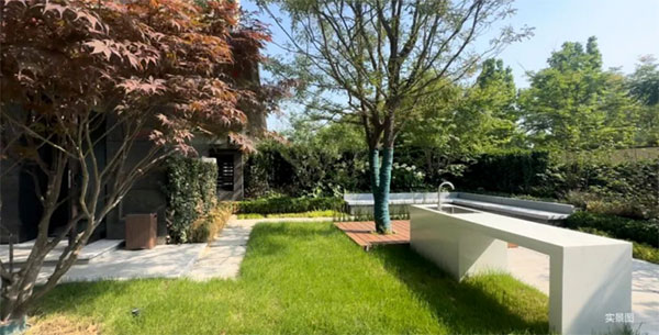 000000.jpg 000000.jpg