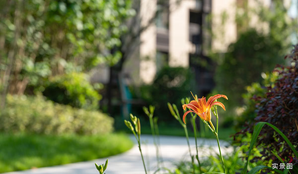 000000.jpg 000000.jpg