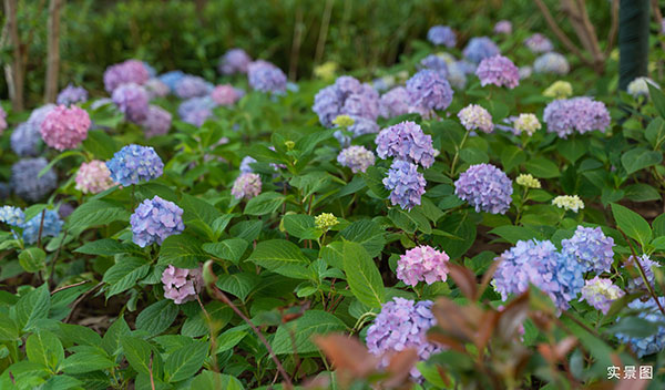 000000.jpg 000000.jpg