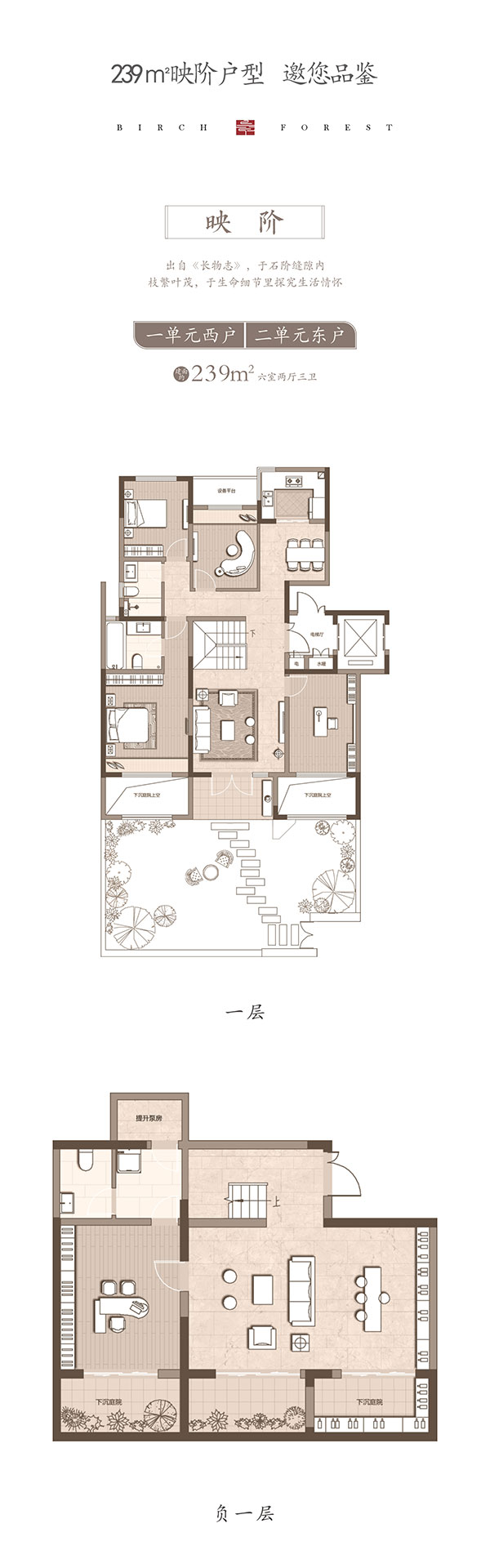 000000.jpg 000000.jpg