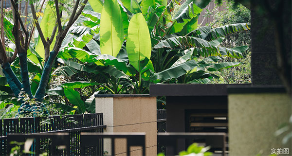 000000.jpg 000000.jpg