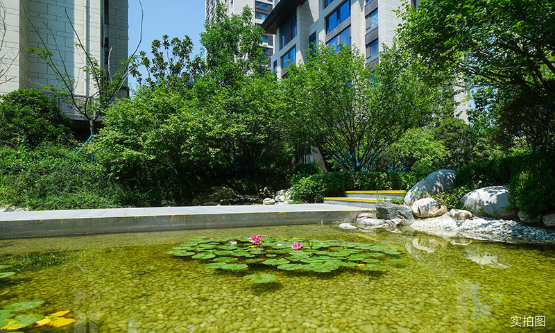 000000.jpg 000000.jpg