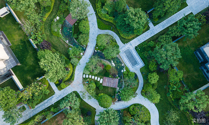 000000.jpg 000000.jpg