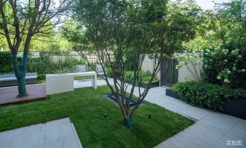 000000.jpg 000000.jpg