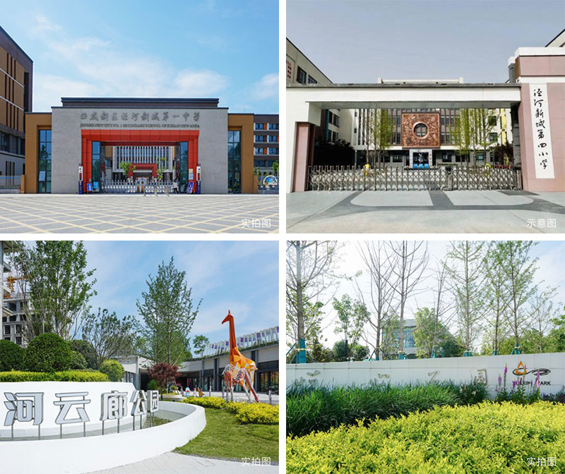 000000.jpg 000000.jpg