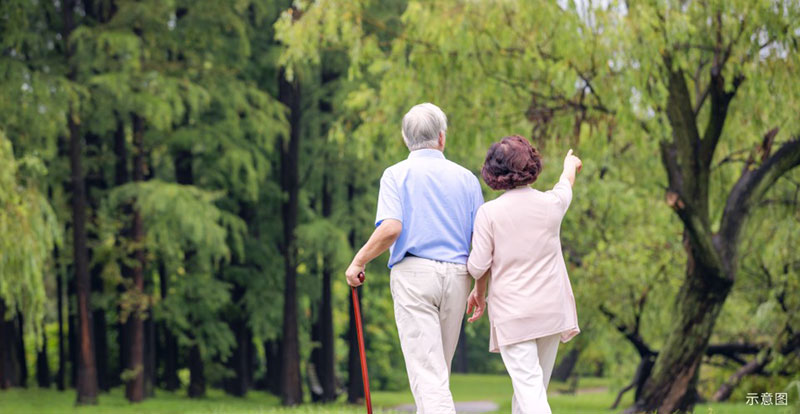 000000.jpg 000000.jpg