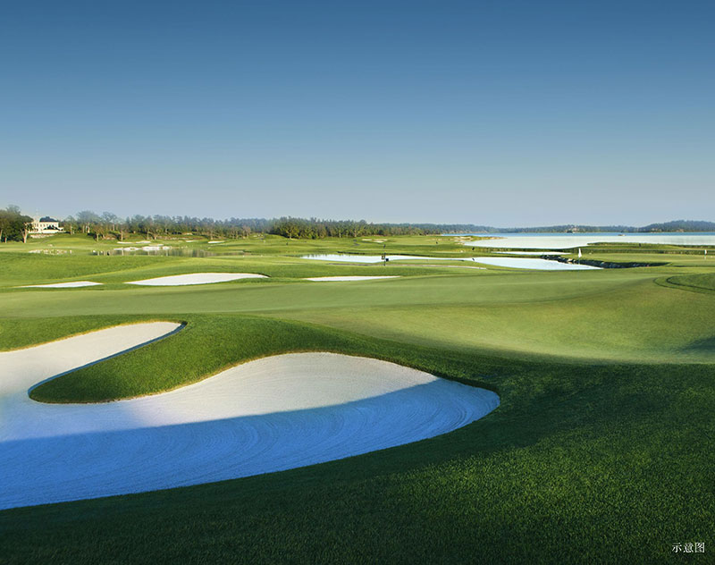 000000.jpg 000000.jpg