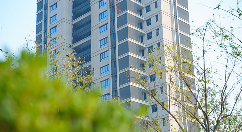 000000.jpg 000000.jpg