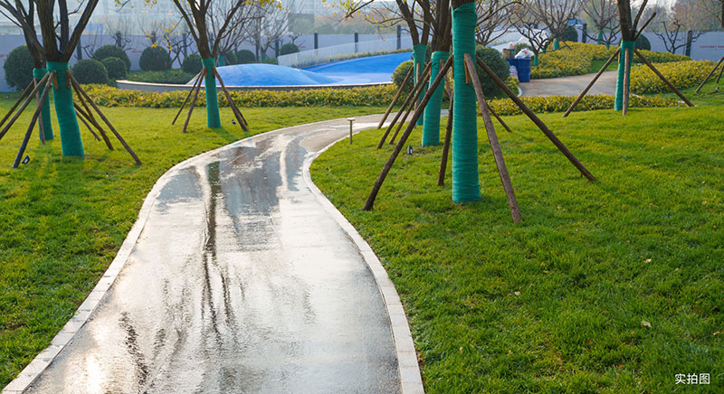 000000.jpg 000000.jpg