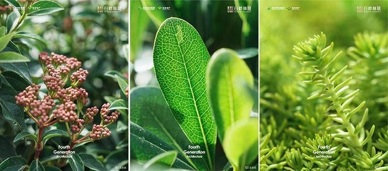 000000.jpg 000000.jpg