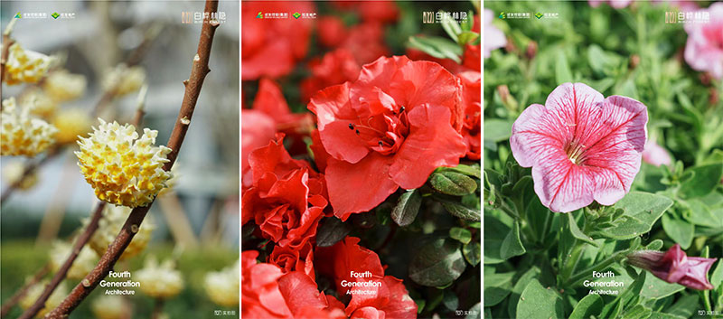 000000.jpg 000000.jpg