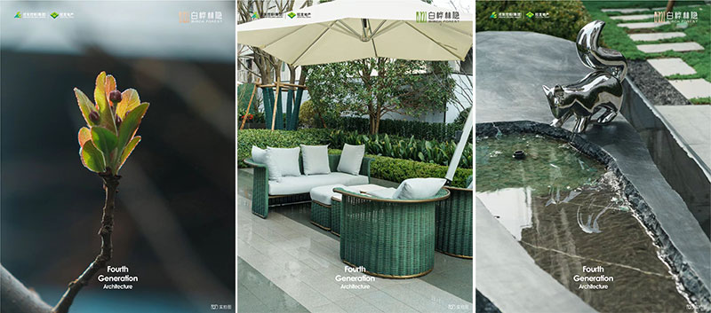 000000.jpg 000000.jpg