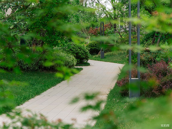 000000.jpg 000000.jpg