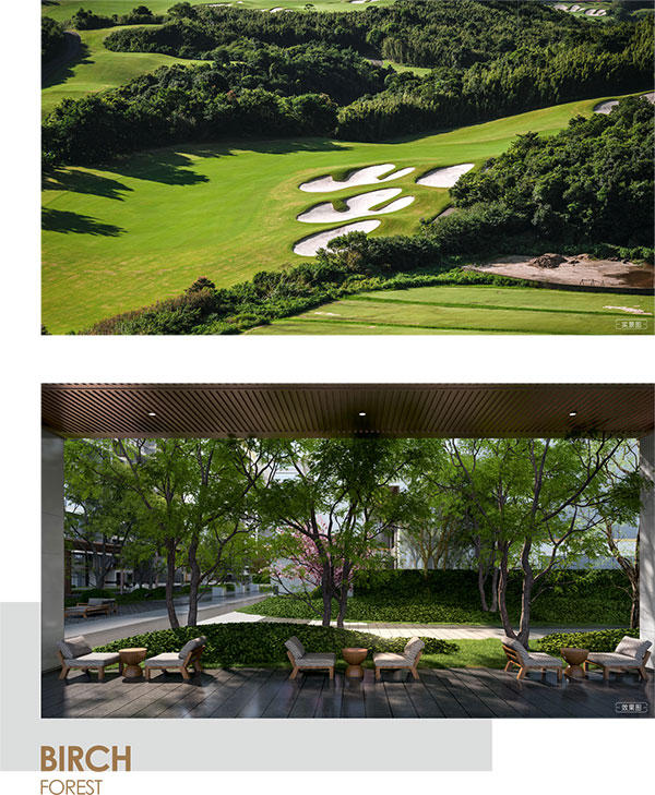 000000.jpg 000000.jpg